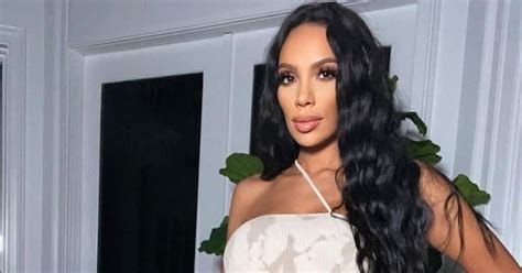 erica mena video vixen|Erica Mena Bio, Age, Wiki, Reality star, Net Worth, Nationality.